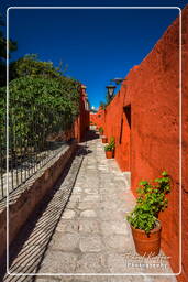 Arequipa - Santa Catalina (140)