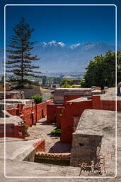 Arequipa - Santa Catalina (171)