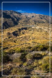 Canyon del Colca (24)