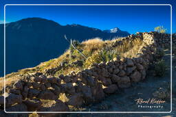 Canyon del Colca (35)