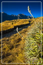 Canyon del Colca (37)