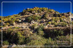 Canyon del Colca (53)