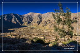 Canyon del Colca (54)