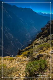 Canyon del Colca (55)