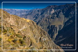 Canyon del Colca (63)