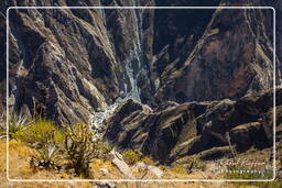 Canyon del Colca (133)