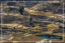 Canyon del Colca (145)