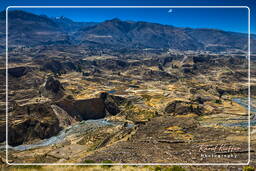 Canyon del Colca (154)