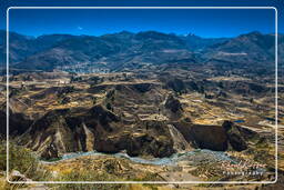 Canyon del Colca (157)