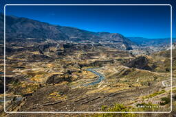 Canyon del Colca (159)