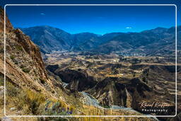 Canyon del Colca (160)