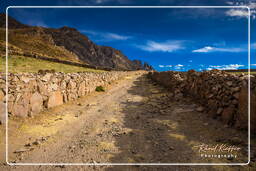 Canyon del Colca (176)