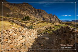 Canyon del Colca (183)