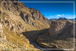 Canyon del Colca (191)