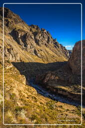 Canyon del Colca (196)