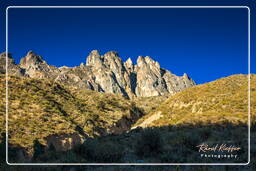 Canyon del Colca (201)