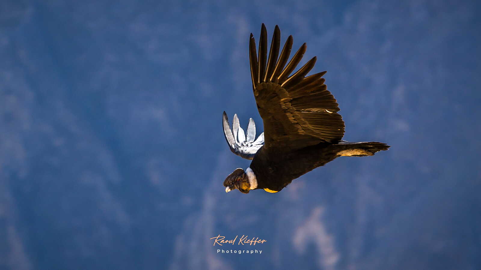 Colca