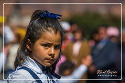 Cusco - Fiestas Patrias Peruanas (274) Plaza de Armas de Cusco