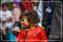 Cusco - Fiestas Patrias Peruanas (286) Plaza de Armas di Cusco