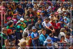 Cusco - Fiestas Patrias Peruanas (377) Plaza de Armas de Cusco