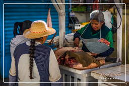 Cusco - Marché central de San Pedro de Cusco (10)