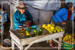 Cusco - Central Market of San Pedro of Cusco (18)