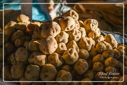 Cusco - Mercado Central de San Pedro del Cusco (47)