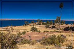 Isole degli Uro (2) Lago Titicaca