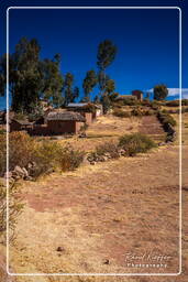 Ilhas de Uros (5) Lago Titicaca