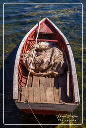 Uro’s Islands (16) Lake Titicaca