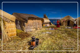 Inseln der Uros (33) Titicacasee