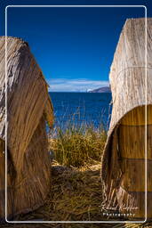 Inseln der Uros (51) Titicacasee