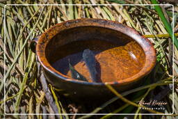 Lake Titicaca, Uro’s Islands (57)