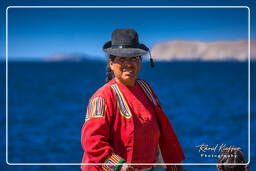 Îles des Uros (64) Lac Titicaca