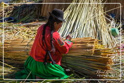 Inseln der Uros (66) Titicacasee