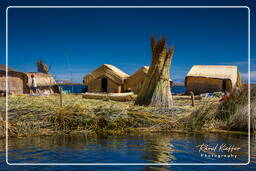 Inseln der Uros (85) Titicacasee