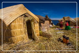 Isole degli Uro (34) Lago Titicaca