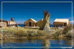 Isole degli Uro (85) Lago Titicaca