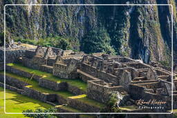 Machu Picchu (6)