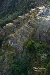 Machu Picchu (7)