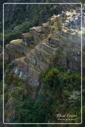 Machu Picchu (7)