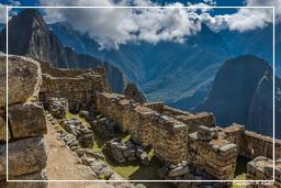 Machu Picchu (11)