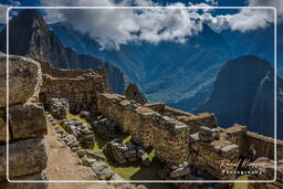 Machu Picchu (11)