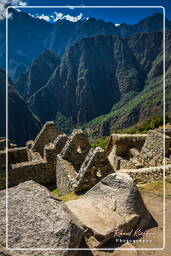 Machu Picchu (15)