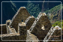 Machu Picchu (16)