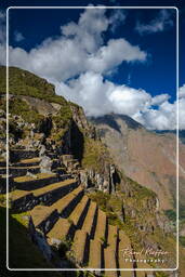 Machu Picchu (18)