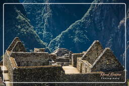 Machu Picchu (19)