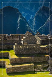 Machu Picchu (21)