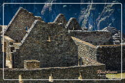 Machu Picchu (22)