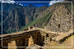 Machu Picchu (28)